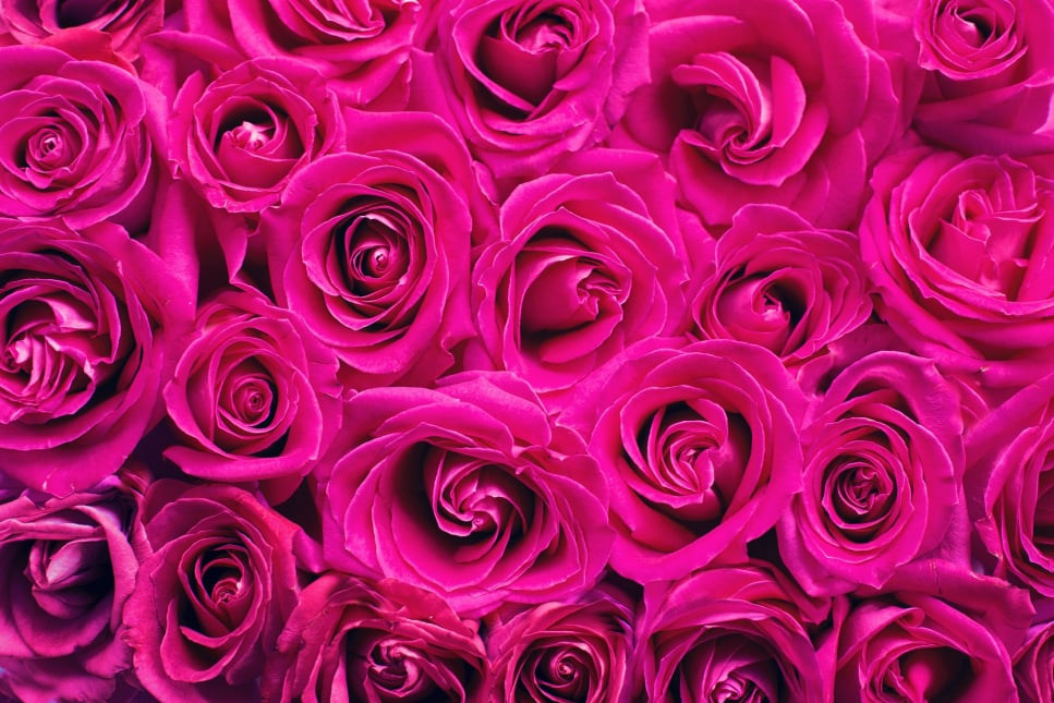 Blomstergalleriet i Greve